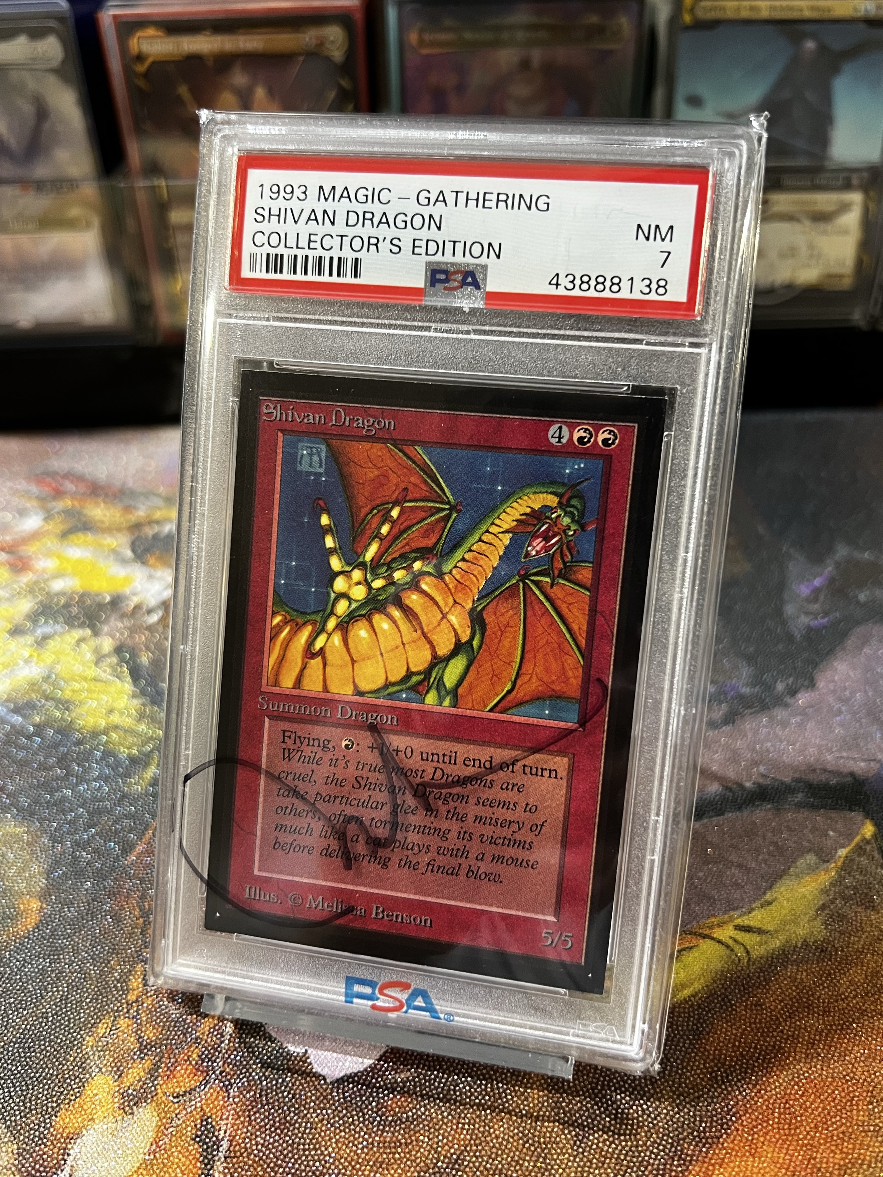 ナナドラ (@shivandnana) / X