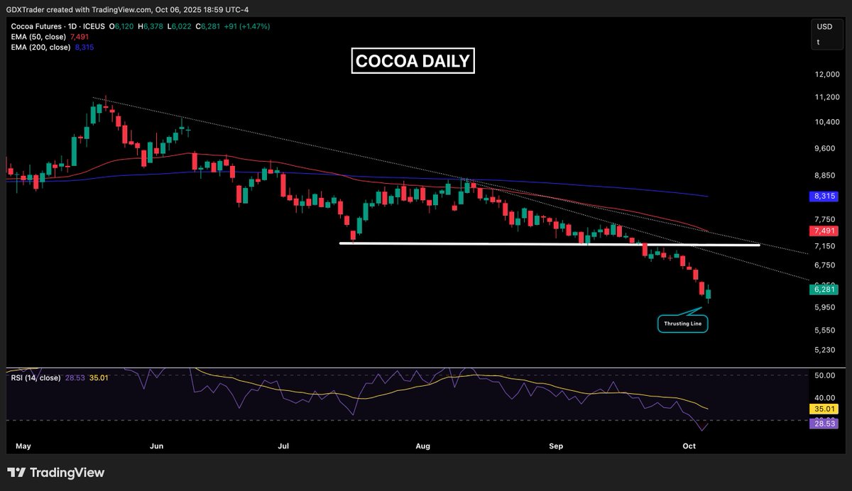 chocochoco.com様⭐専用ページ 賞味期限：11月20日】COBACO クランチショコラバー（あまおう）3