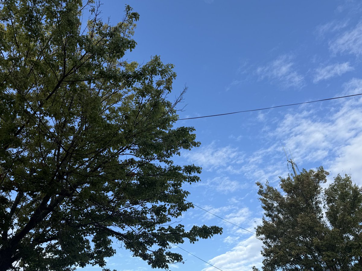 おはよ　#Akita

暖かいコーヒーが美味しい朝

今日も元気でGO GO

#秋田市
#イマソラ