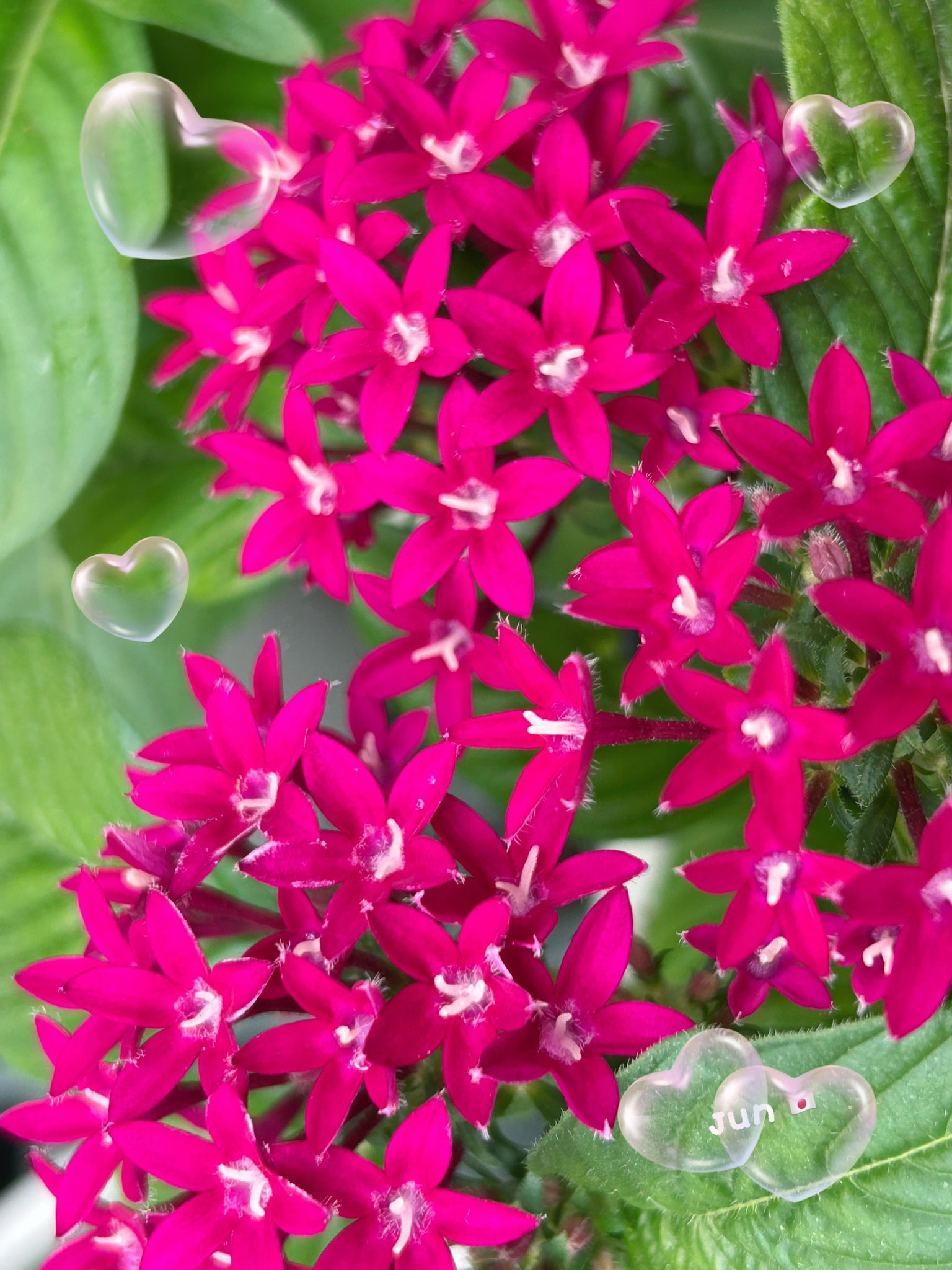 あ～にゃん214315です❣️(6月15日予定) あっきん (@D30ThFQsmsxiDGH) / X