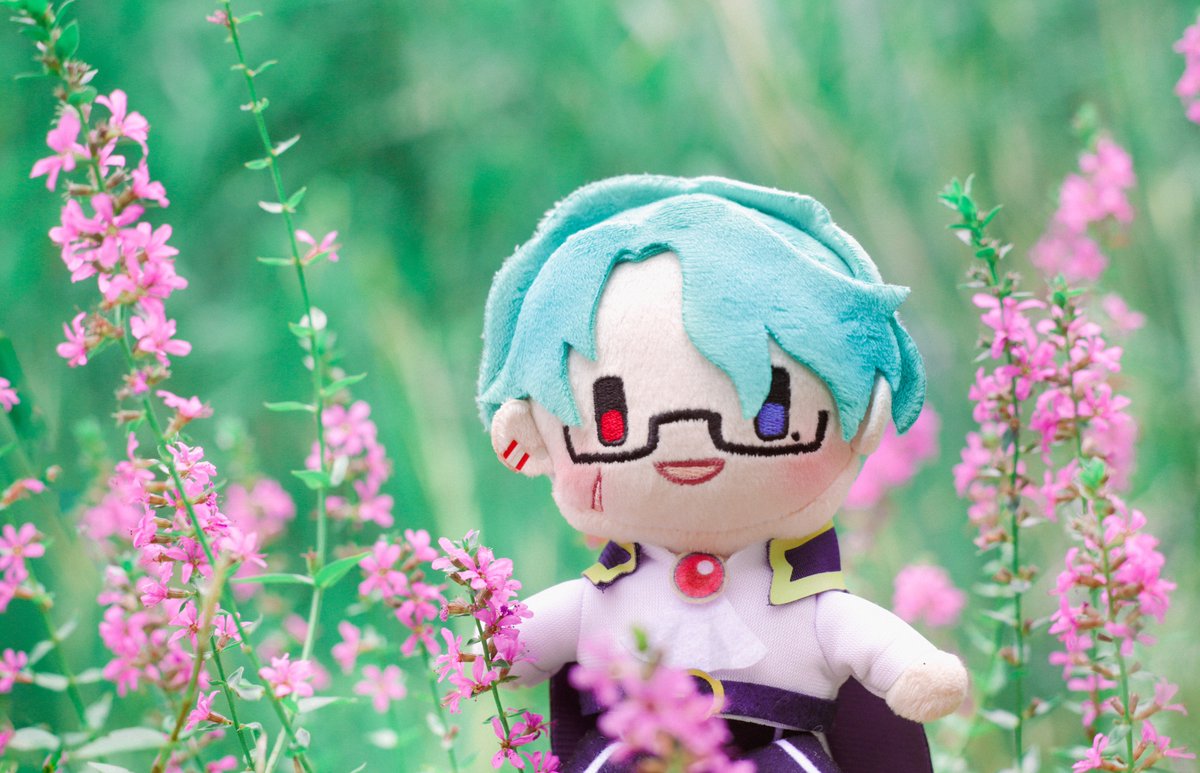 本日のお空はもくもくなところが多いですね
無理せずご自愛でおすごしください

こちらはピンクのちいさなお花とナックさん