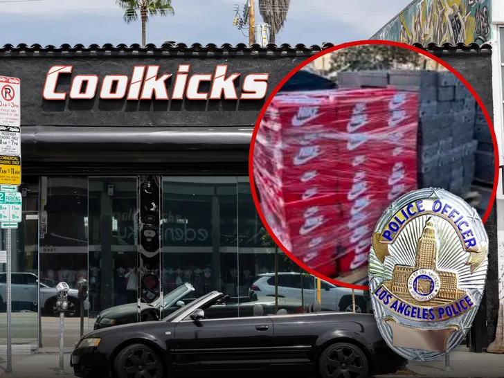 Coolkicks LA had over $500K in stolen items recovered, police say. 

Multiple LA influencers shopped there.