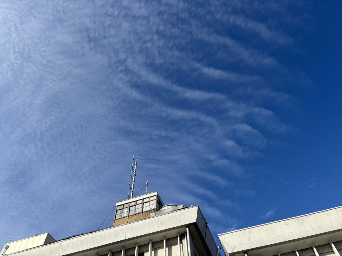おはようございます！
秋の空　きれい　
いいお天気
10月だけどまだ日差しはキツく感じるなぁ。
私の出番は終わりましたが、大東市議会は今日で決算審議が一通り終わる予定です。
#大東市