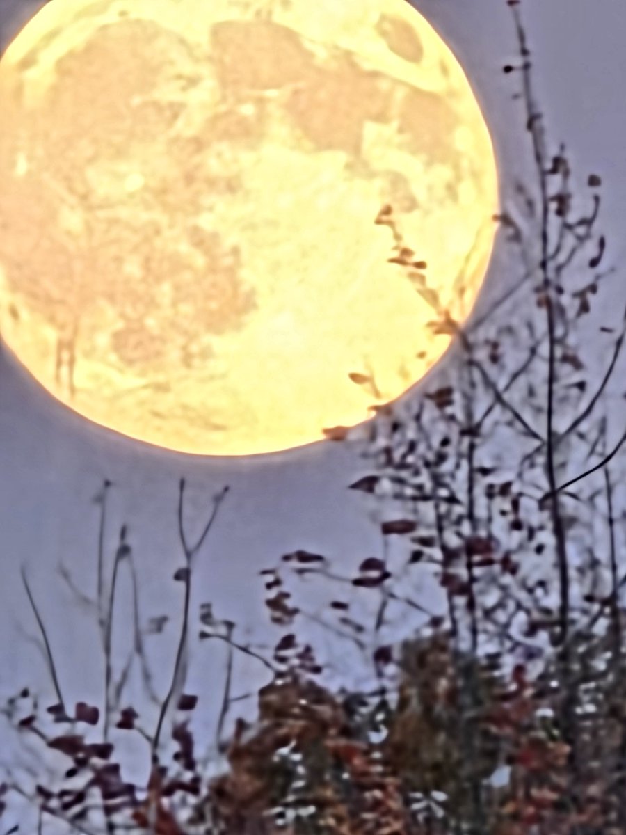 Kevin Calvert tweet media