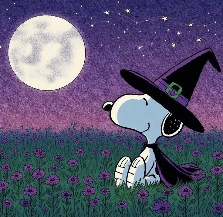 Snoopy (@snoopyb047) on Twitter photo 