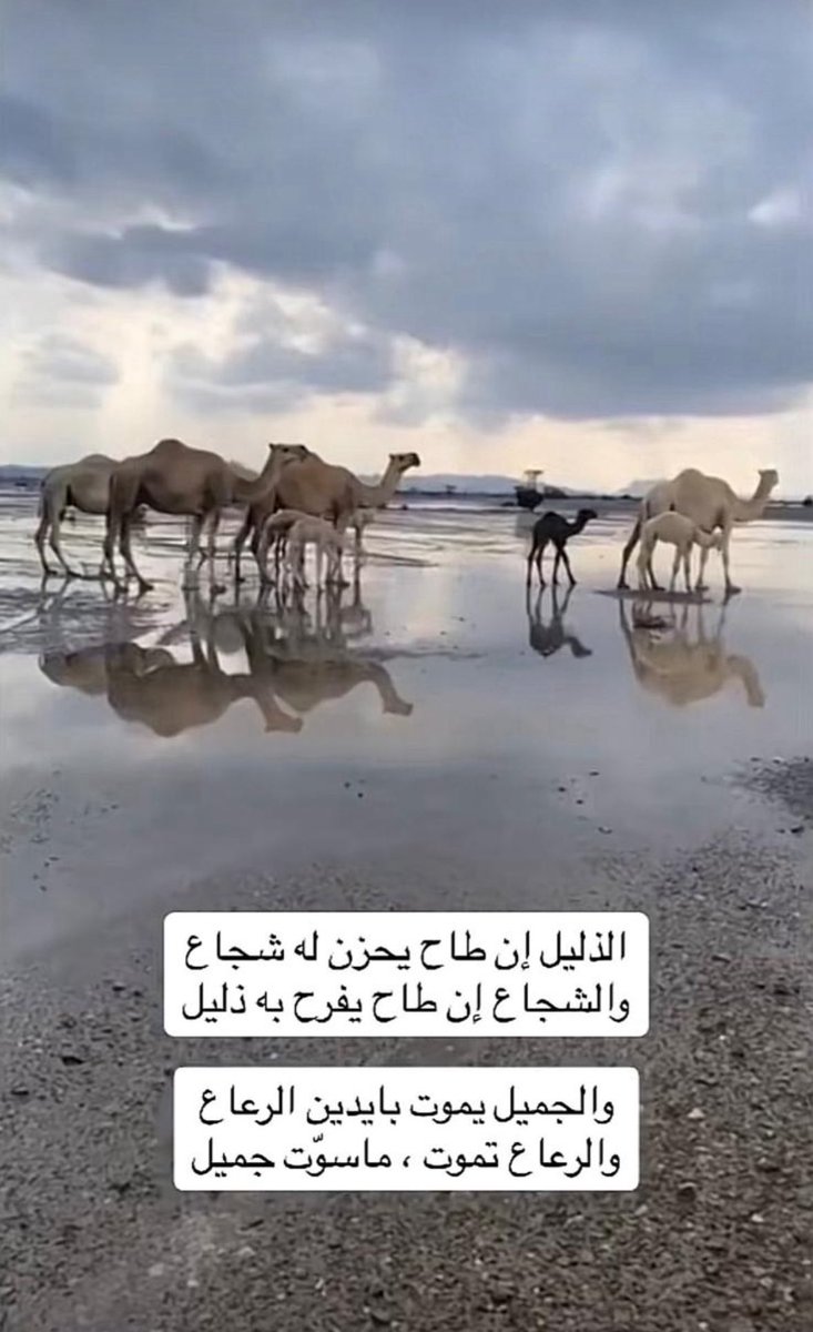fahadf016's tweet photo. https://t.co/8Xoiq7kX7M