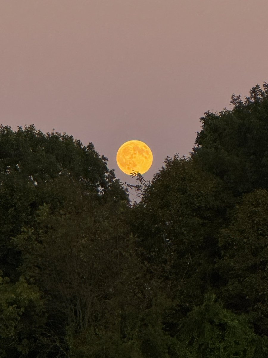 themoonsfave tweet picture