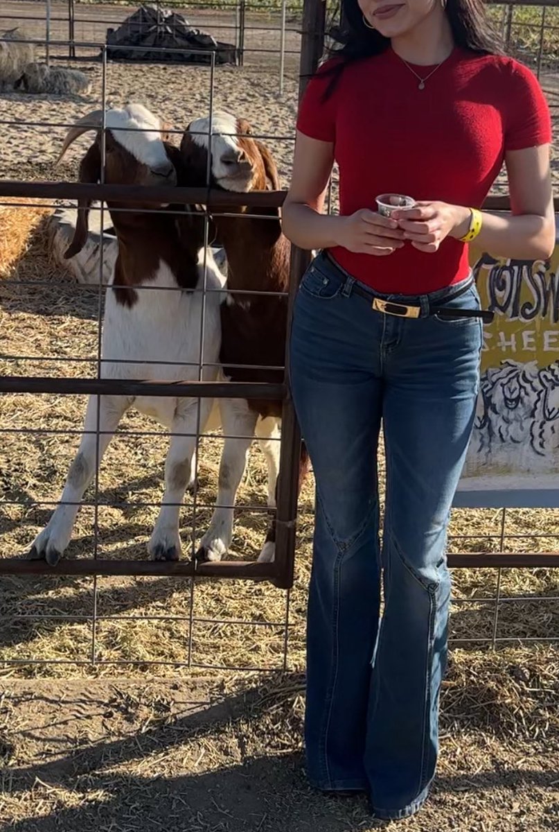 joyce ⋆｡°✩ tweet media