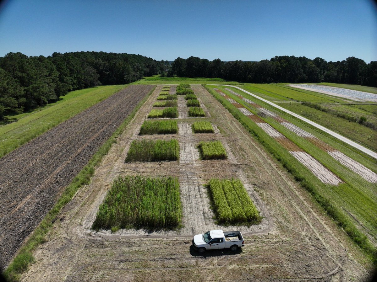 MahmoudSam35338's tweet photo. 🌱 Excited to lead a holistic project integrating cover cropping and reduced tillage with remote sensing to monitor carbon sequestration across diverse environments.

#Leadership #RegenerativeAgriculture #RemoteSensing #CoverCrops #SoilHealth #Sustainability #Innovation https://t.co/XMA9SMn3aV