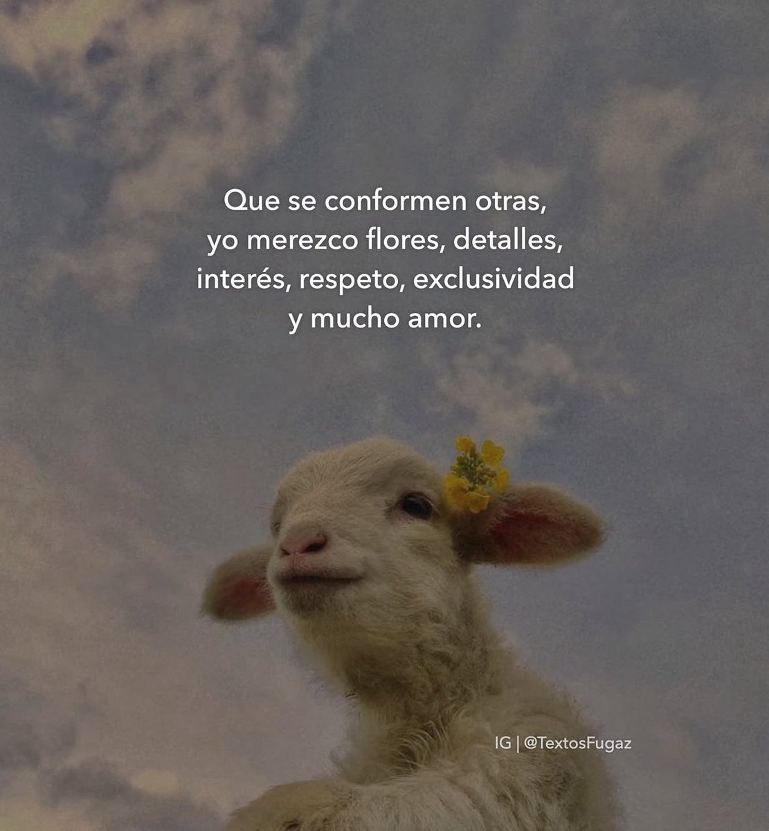 FraseSimple's tweet image. 