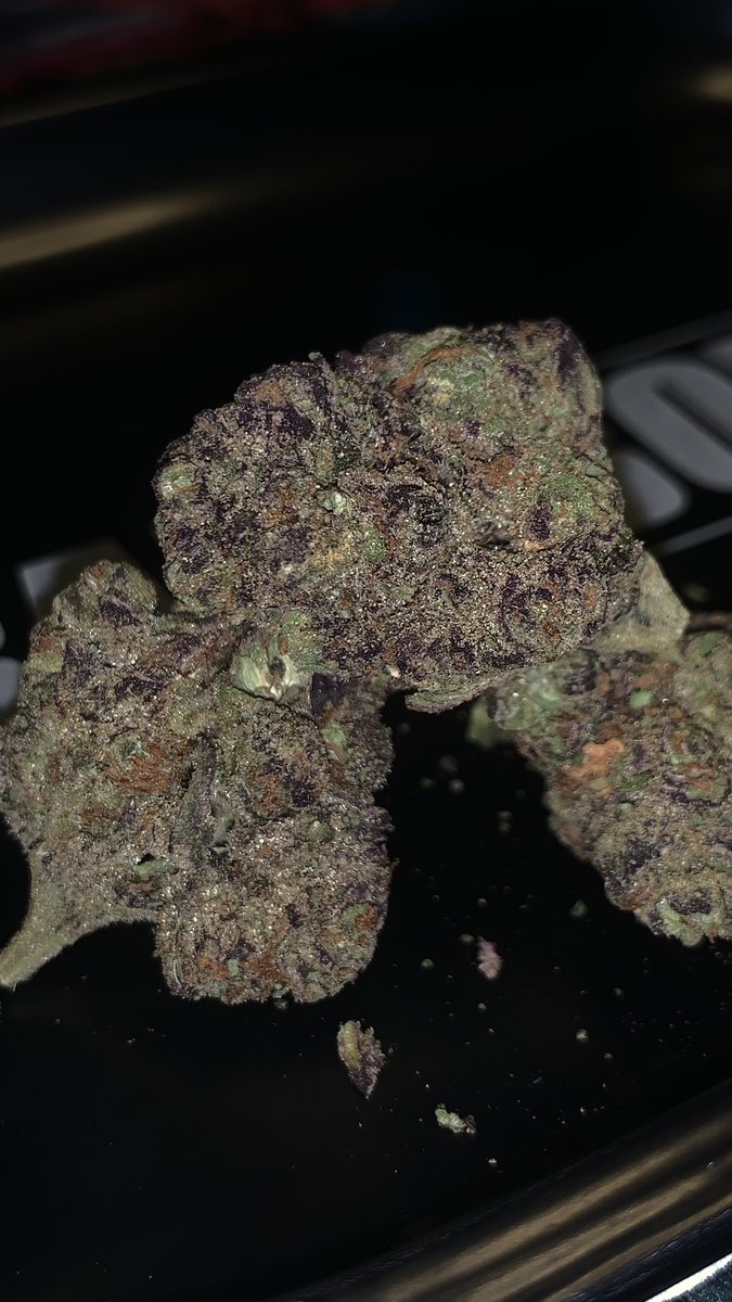 grab_a_bong's tweet photo. BakeBoxx THCA Review‼️
Melon Haze (Greenhouse)👉🏼@Bake_Boxx 
👀 Frosty purple + orange buds🤌🏻
👃 Sweet melon candy with a light citrus.
👅 slight 🍉 inhale, smooth hazy exhale.
🤤 Uplifting buzz, great daytime smoke!
5⭐️ for greenhouse🤯‼️
#BakeBoxxReview #THCA #BakeBoxx https://t.co/M0VlktT6Wx