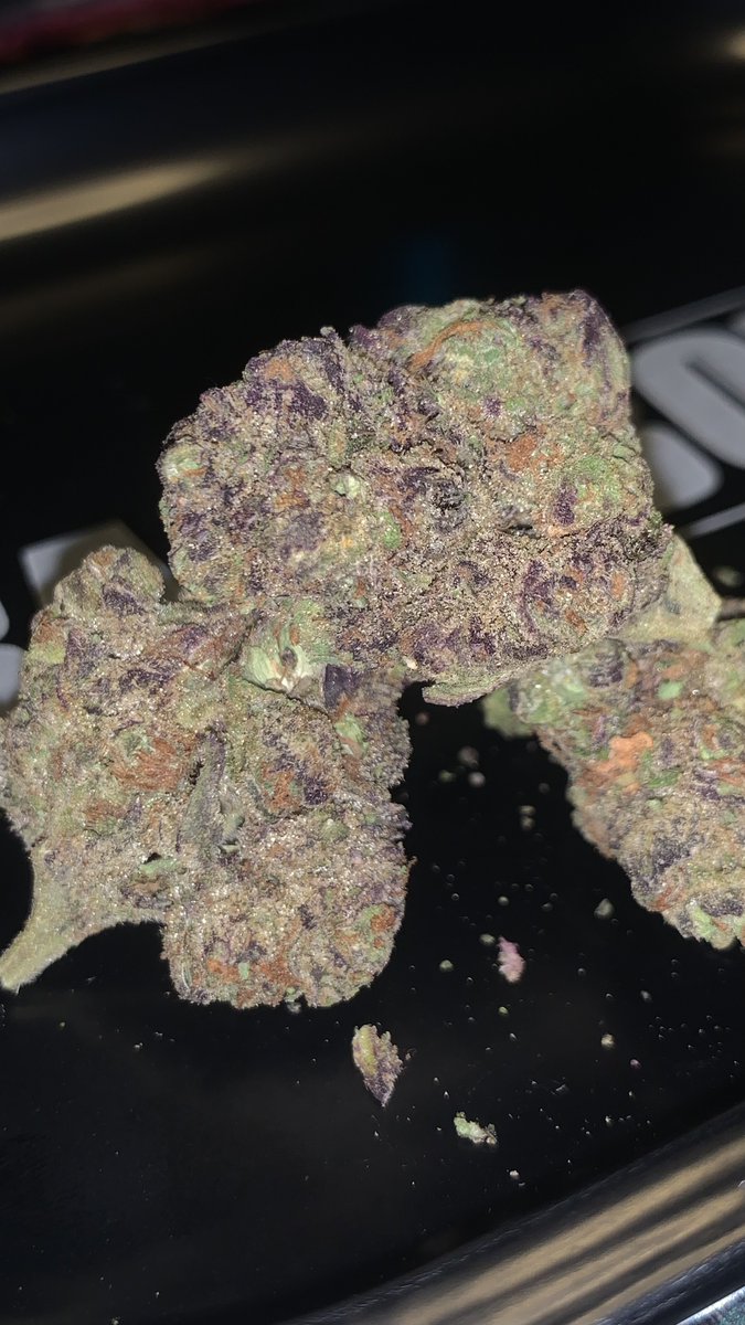 grab_a_bong's tweet photo. BakeBoxx THCA Review‼️
Melon Haze (Greenhouse)👉🏼@Bake_Boxx 
👀 Frosty purple + orange buds🤌🏻
👃 Sweet melon candy with a light citrus.
👅 slight 🍉 inhale, smooth hazy exhale.
🤤 Uplifting buzz, great daytime smoke!
5⭐️ for greenhouse🤯‼️
#BakeBoxxReview #THCA #BakeBoxx https://t.co/M0VlktT6Wx