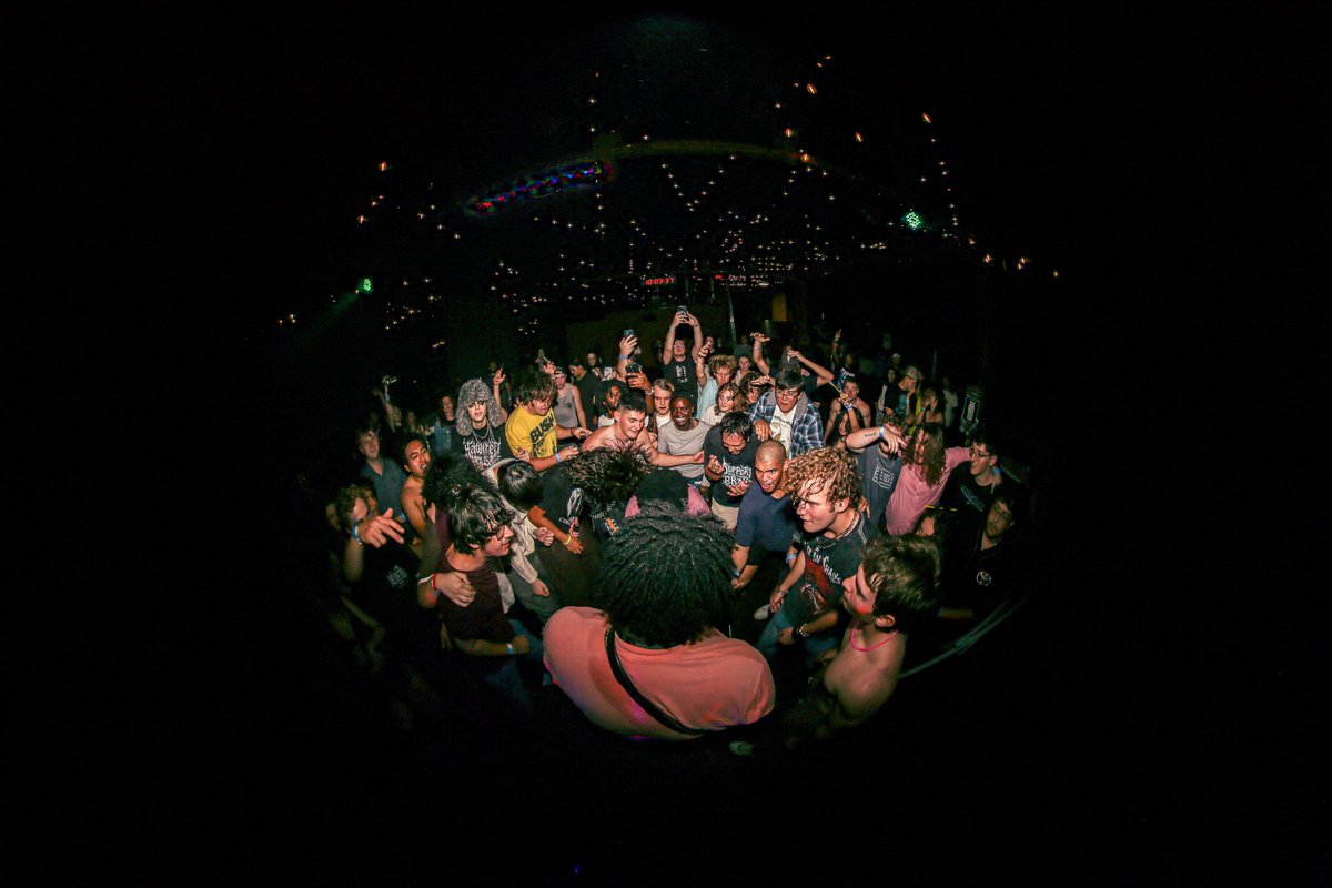 LoogieTanuki tweet media