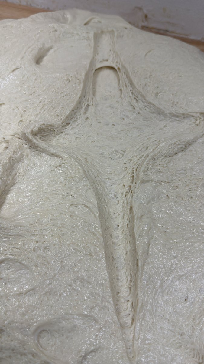 Fredi “The PizzaMan” 313 tweet media