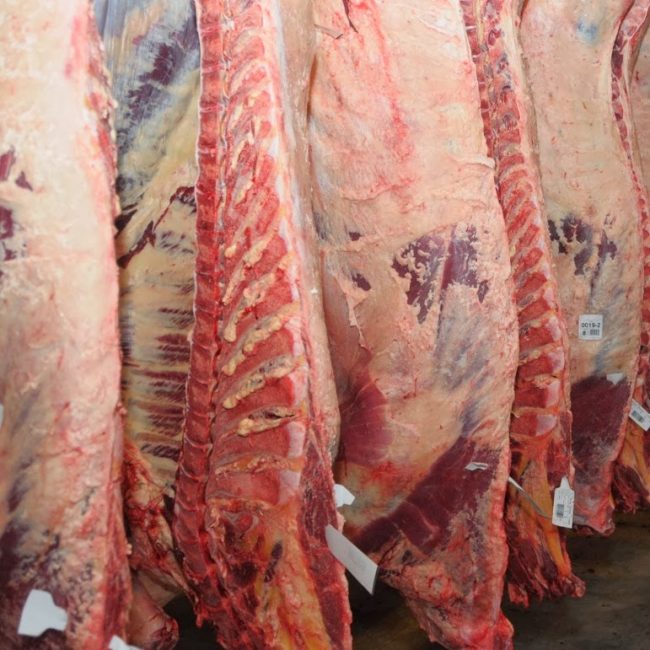 elrural's tweet image. 🥩Europa sostiene la demanda por carne vacuna argentina y mejora la competitividad del sector 
#Anuga #Carnevacuna #Demanda 

👉elrural.com/noticias-agrop… 

Más información en  📌elrural.com