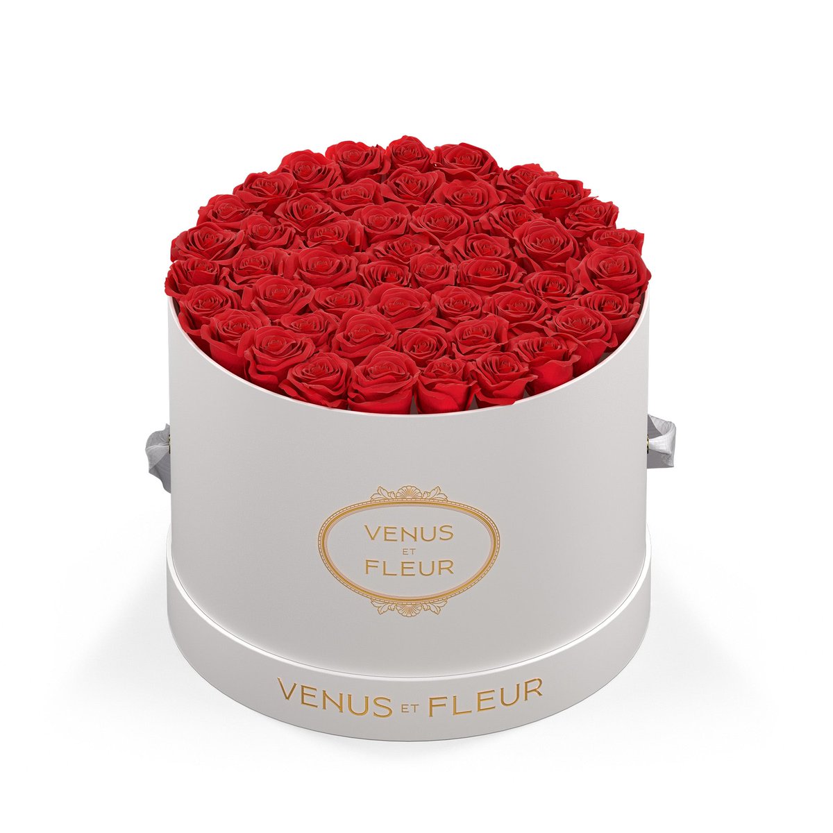 I just received Venus Et Fleur Eternity Roses from Alexander via Throne. Thank you! throne.com/lenaliberato #Wishlist #Throne