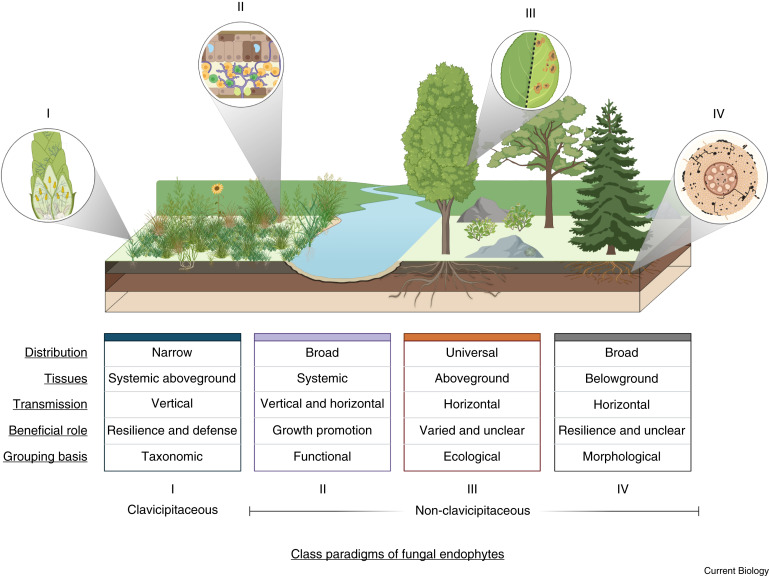 Jake Nash tweet media