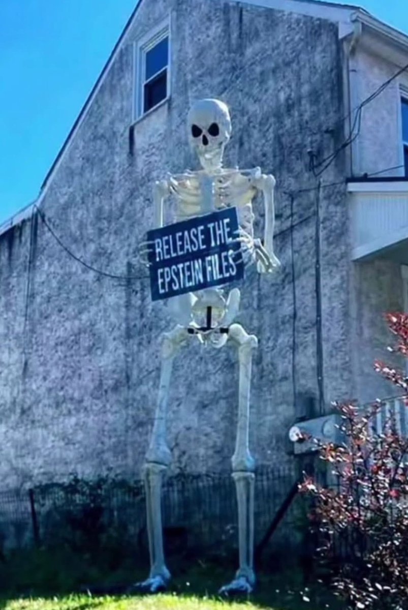 AmeliaHouchins's tweet image. #ReleaseTheFiles