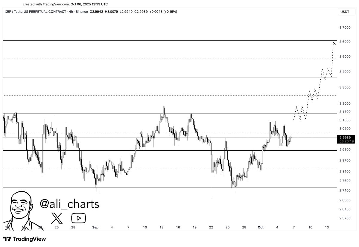 XRP Parallel Channel