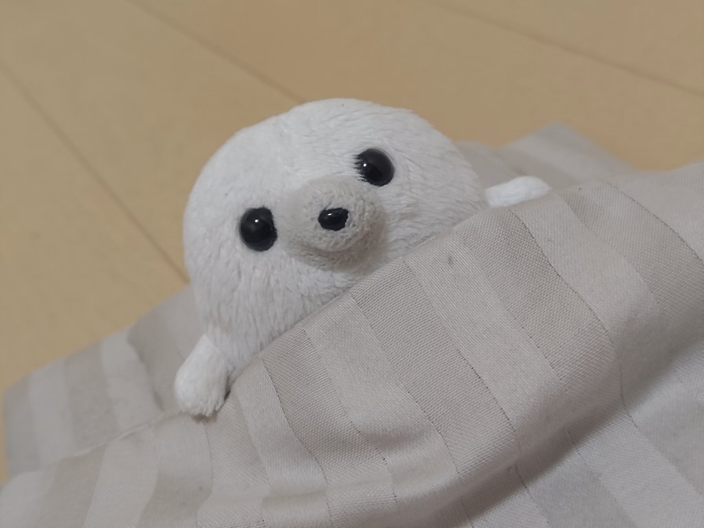 おはよ…☀