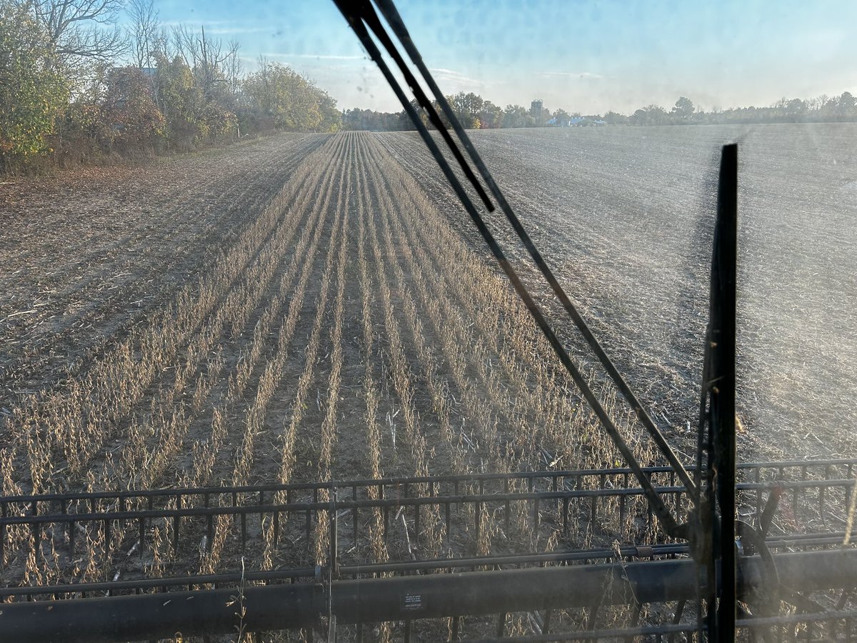 Mike MacLean tweet media