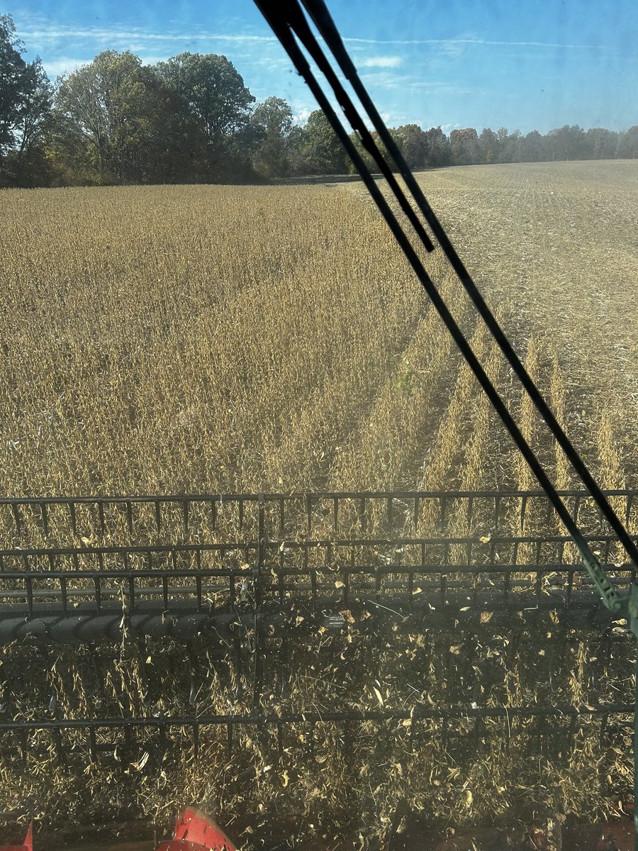 Mike MacLean tweet media