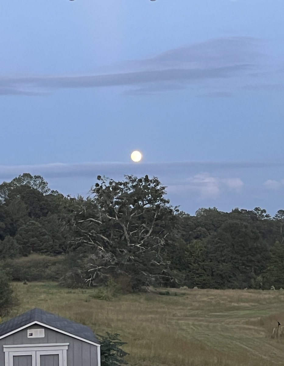 KristynStarling's tweet photo. Like the moon, come out from behind the clouds! Shine (taken in my backyard on Stewart Road in LaGrange GA (Troup County) https://t.co/DSXBkMZMBq