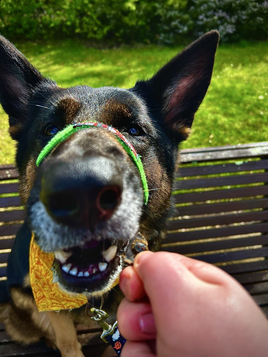 Jessica🏳️‍🌈 tweet media