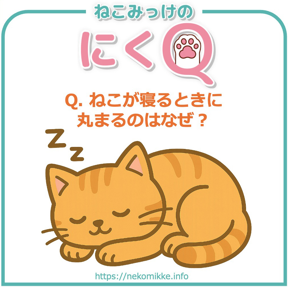 にくQ