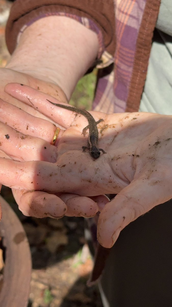 Nostalgik's tweet image. Visited the China Folk House in Harpers Ferry with a few fellow Einstein Fellows — cooked Mongolian-style food over open fire, hiked the trails, and watched my colleague joyfully catch salamanders. Culture, nature, and curiosity all in one day. #EinsteinFellows25 #HarpersFerry