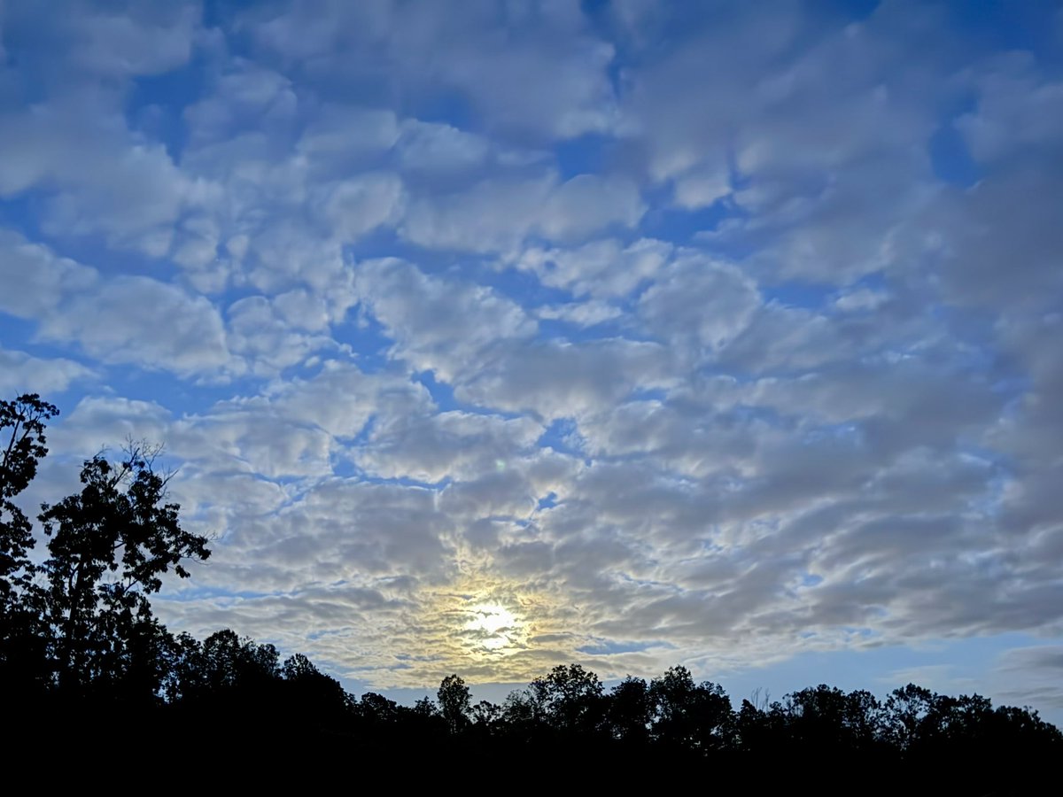 Amber Lake Farm(stead) 🕊️ tweet media