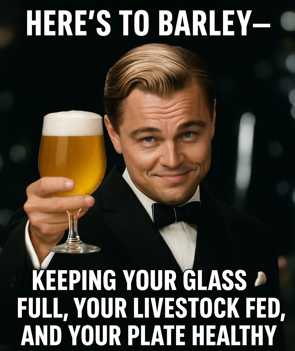 SaskBarley's tweet photo. ๐บ๐ฅฉ๐ Barley does it all.
From filling your glass, to feeding your livestock, to keeping your diet rich in fibreโthis humble grain powers more than just your pint.
๐ Cheers to barley: the crop that keeps Canada growing strong.
#CelebrateAg #SaskAg #FromFieldToGlass #CdnAg https://t.co/l4Nd8XY7R0