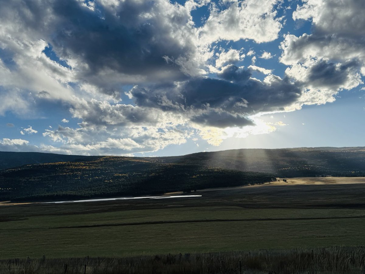 Mark Ronchetti tweet media