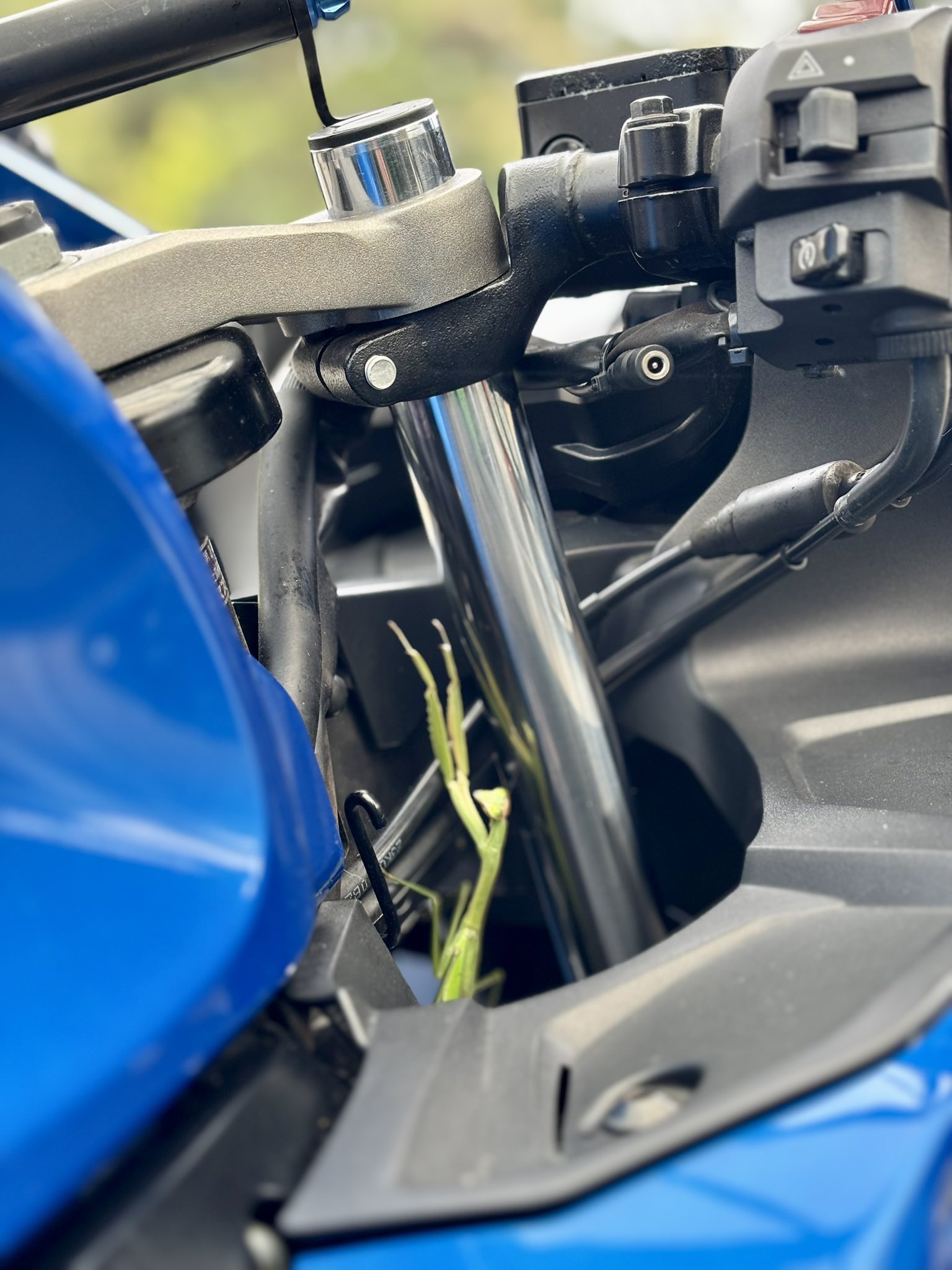 乗り遅れるな〜！！売り切れ次第ゴメンm(._.)m 思っていたのと違う‼️ニダボ乗りが初めて乗るZX-25R‼️ 2022