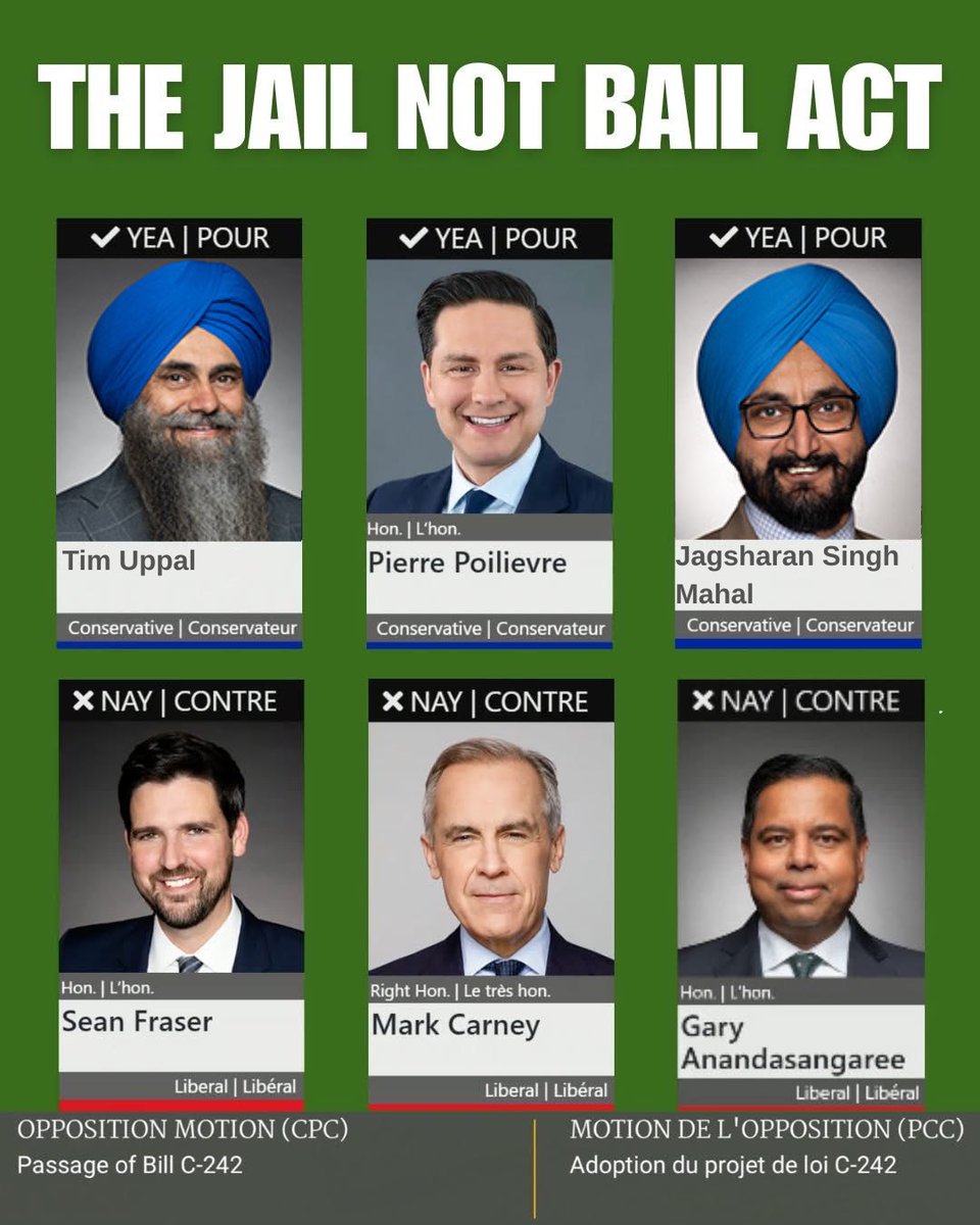 The Liberals had a choice — they chose politics over public safety.

Today, they blocked the Jail Not Bail Act, ignoring support from police, victims, and families across Canada.

Canadians deserve better. It’s time to fix the broken bail system and protect our communities.