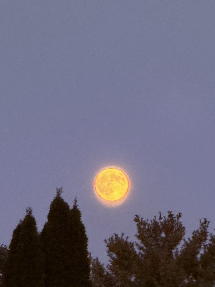 Raj Ballav Koirala (राजबल्लभ कोईराला) tweet media