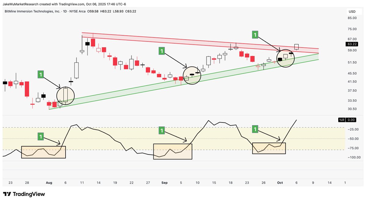 Jake Wujastyk tweet media