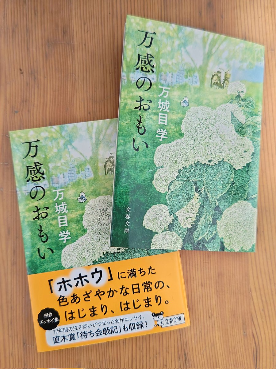 【日々のご報告】
#万城目学 さんのエッセイ集『#万感のおもい』（#文春文庫）本日10月7日発売です。表紙装画を担当いたしました。
読み進めるとエッセイを通して目の前の日常も彩られ、心軽やかになってゆく一冊だと思えています。