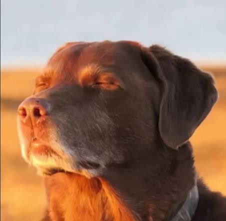 Drove back home and realized I could have paid with my phone.