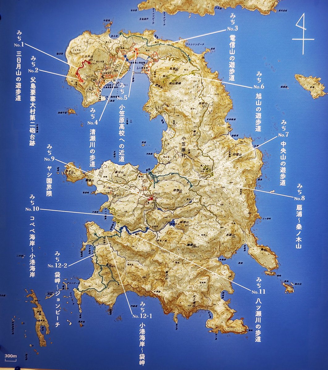 小笠原ビジターセンター・大神山公園 on X