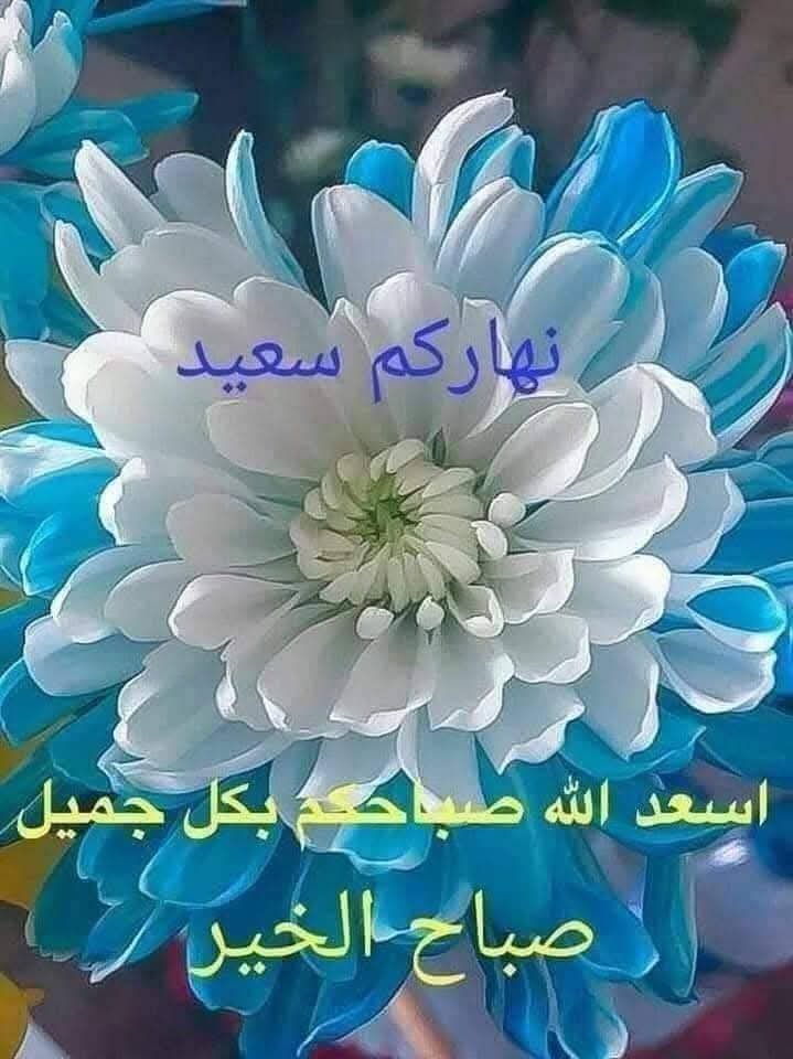 ياتي الصباح وتكونوا انتم اول ما أبدا به يومي..
صباح الورد لمن يطيب بهم الصبح 🍀
صباح السعادة لكل من يقرأ كلماتي💐
ويترك لنا كلمة او وردة 💚
او يمر ويبقى عطره يملأ المكان 🖤
صباح السعادة والابتسامة والعافية💚
صباح الخير لي ولكم🕊️🌅 🍃💐💐