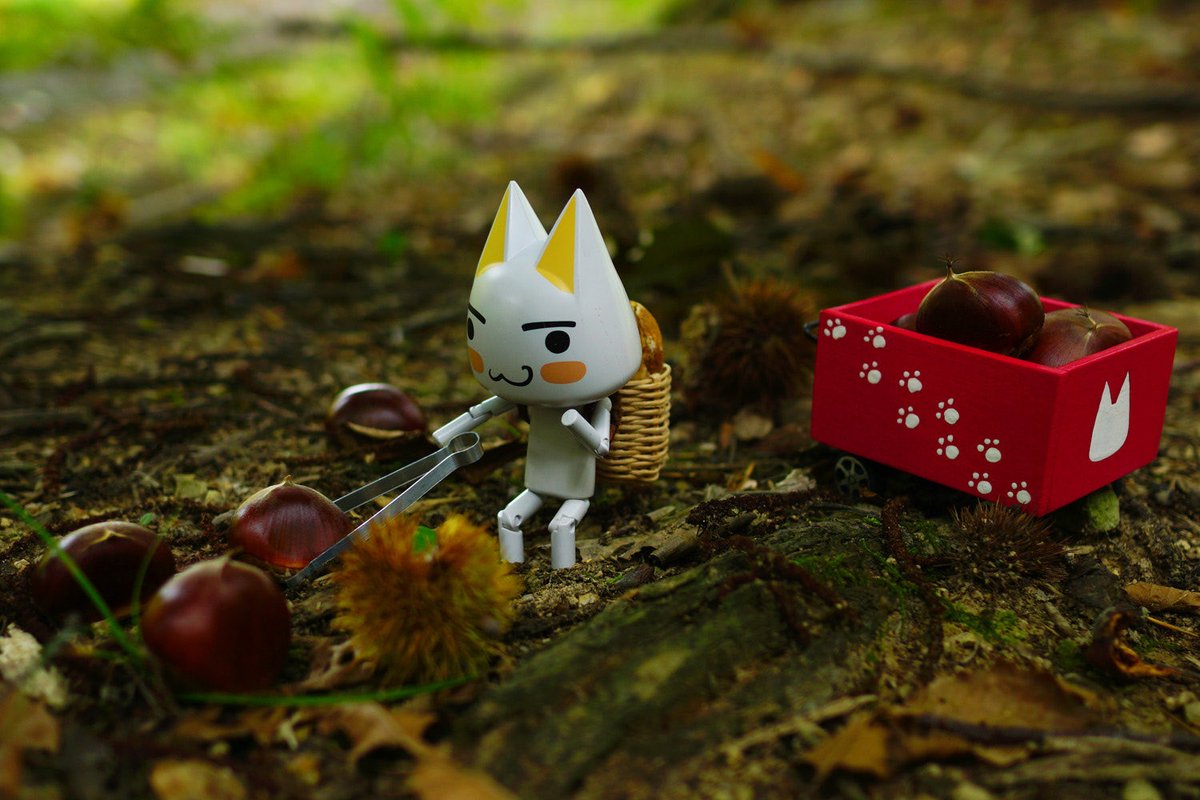 じゅんじゅん (@kagajun0321) / Posts / X