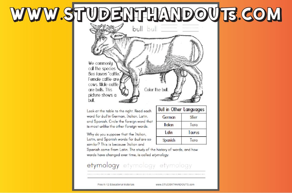 studenthandouts's tweet image. Bull Worksheet for Primary Students - Free to print (PDF file). #lowerelementary #bull #freeprintable studenthandouts.com/science/lower-…