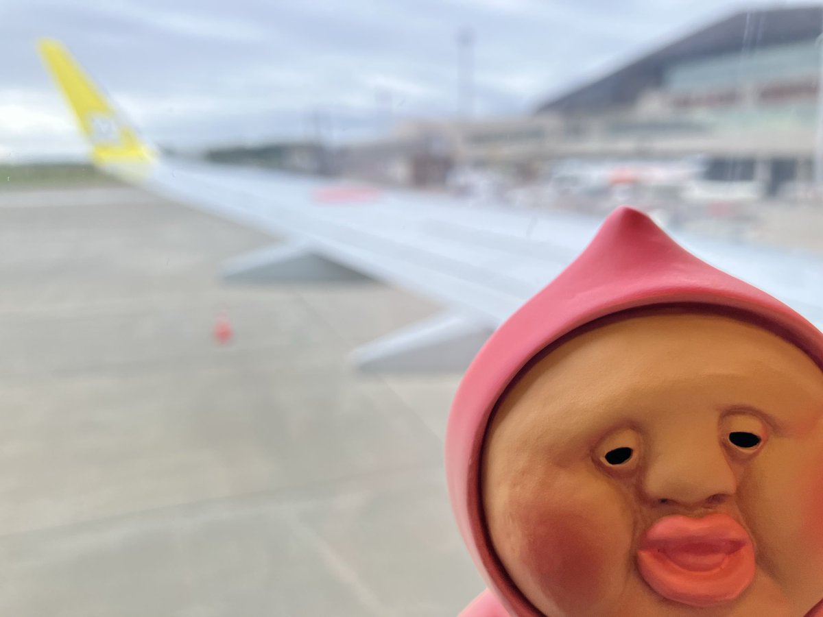 sk_sk_74's tweet photo. 今から飛行機乗るよ✈️
今日は横浜アリーナで変身🙋‍♀️✨

#NEWS_変身 
#NEWSLIVETOUR2025変身 https://t.co/RPJ1hbj76z