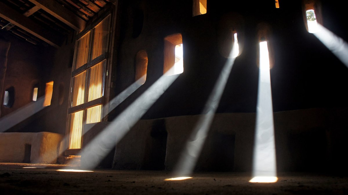 ProgramaVACA tweet media