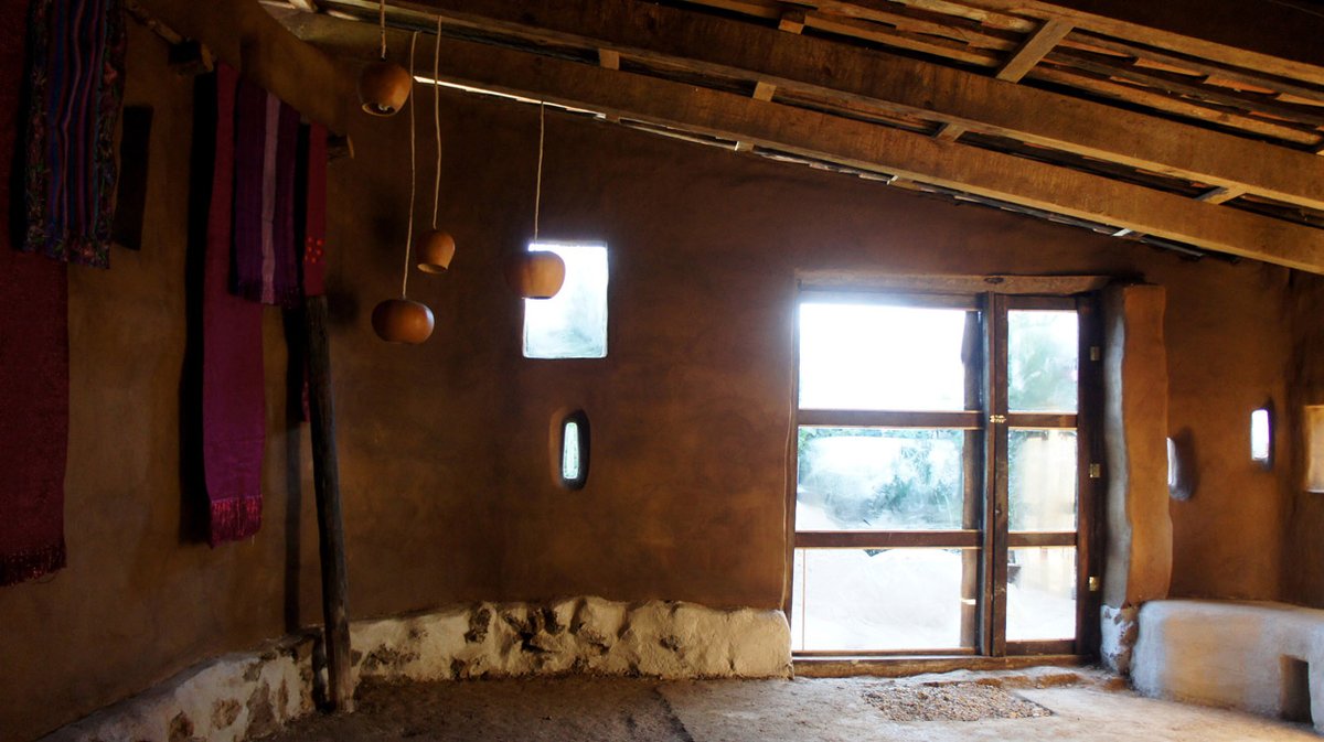 ProgramaVACA tweet media