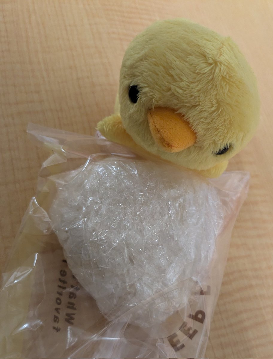 panchan_piichan's tweet photo. 今日は梅干しの気分だったから、家から梅干しおにぎり作って持ってきた🍙
梅たたいて鰹節を混ぜて…🤤
元々梅干し好きだけど最近ハマりだして👍
リトルビーンズのひよこちゃんが食べたそうにアピールしてます🐤
この子は千葉市動物公園出身の子🐥
仕事頑張ろ！
#リトルビーンズ
#littlebeans
#ぬい撮り https://t.co/9h7EoTwB6h