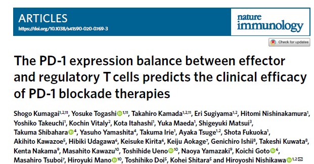 Kohei shitara tweet media