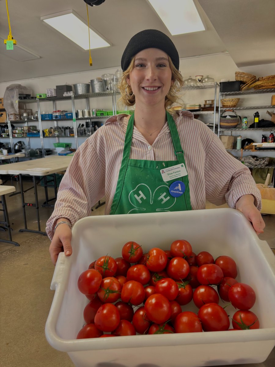 Wildcat Corps tweet media