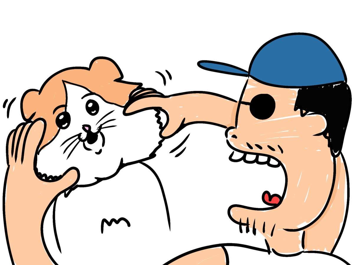 10月7日(火)　お仕事から帰って暇なので猫の顔の毛で遊んでいます。